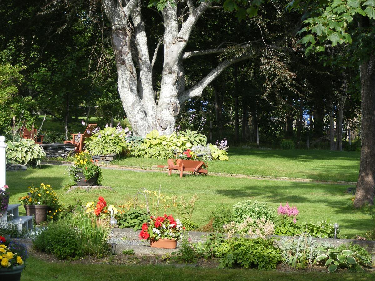 Rothesay House Heritage Inn B&B Harbour Grace 외부 사진
