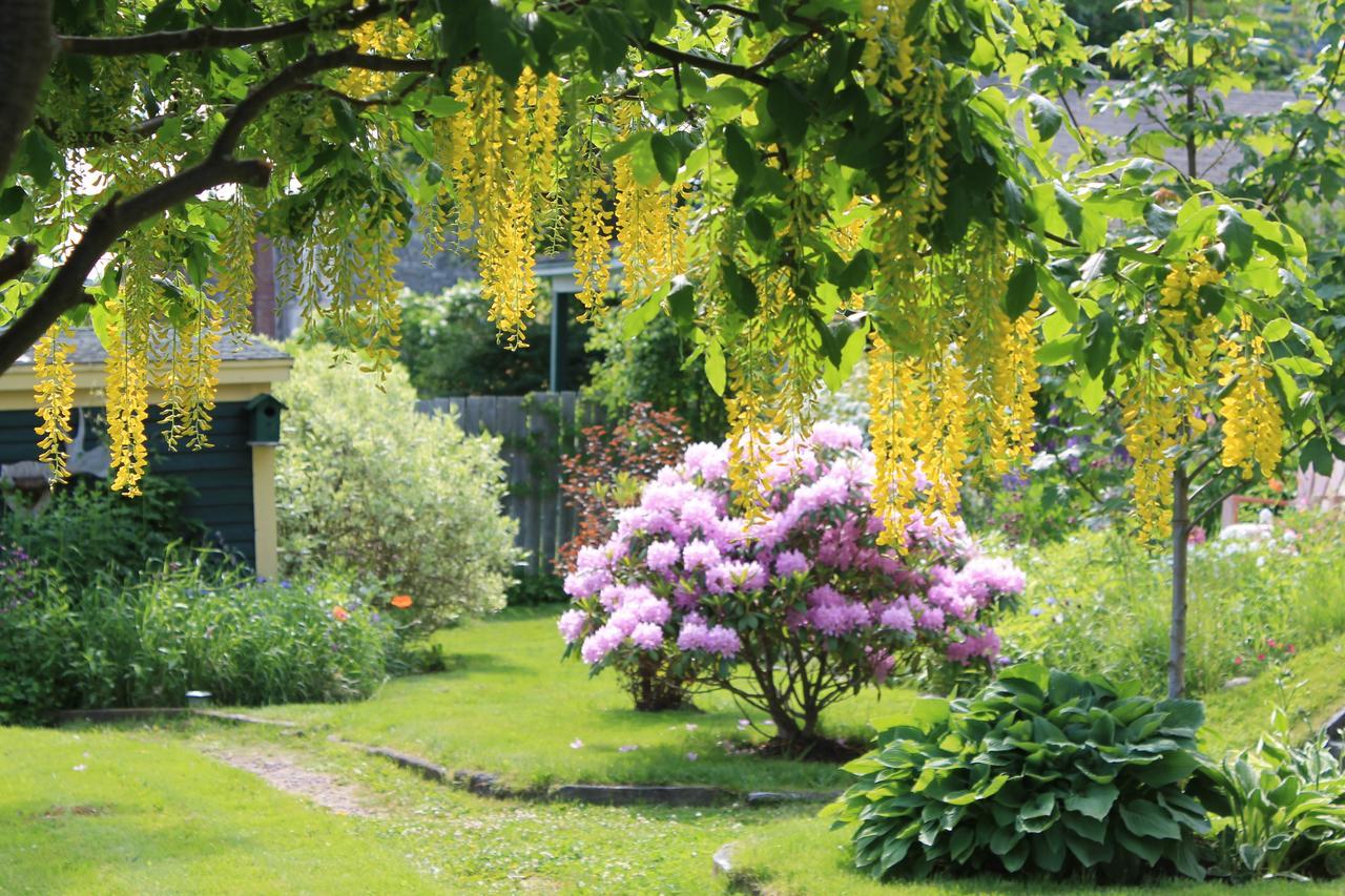 Rothesay House Heritage Inn B&B Harbour Grace 외부 사진