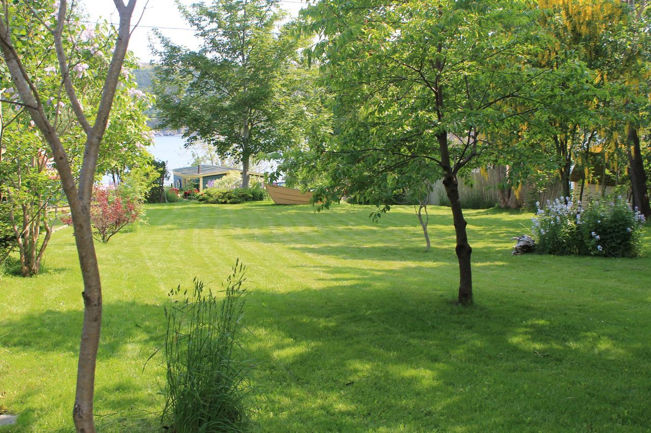 Rothesay House Heritage Inn B&B Harbour Grace 외부 사진